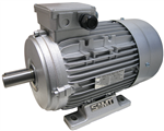 IEC Standard Motor